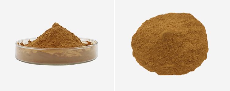 Cordycepin Powder 2 Cordycepin Powder 2