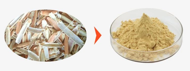 Chitosan Oligosaccharide Powder 1 Chitosan Oligosaccharide Powder 1