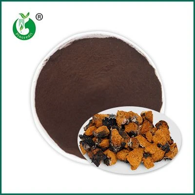 Chaga Özü Tozu