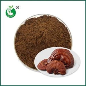Ganoderma Spor Tozunun Etkileri ve Kullanım Kontrendikasyonları