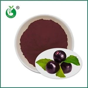 Acai Berry Suyu Tozu
