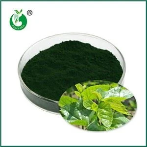 Sodyum Bakır Klorofilin Nedir? Ne İçin Kullanılır?