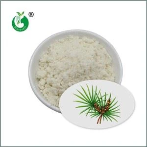 Testere Palmetto Özü Tozu