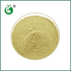 K2 Vitamini ile MK7 Aynı Mıdır?