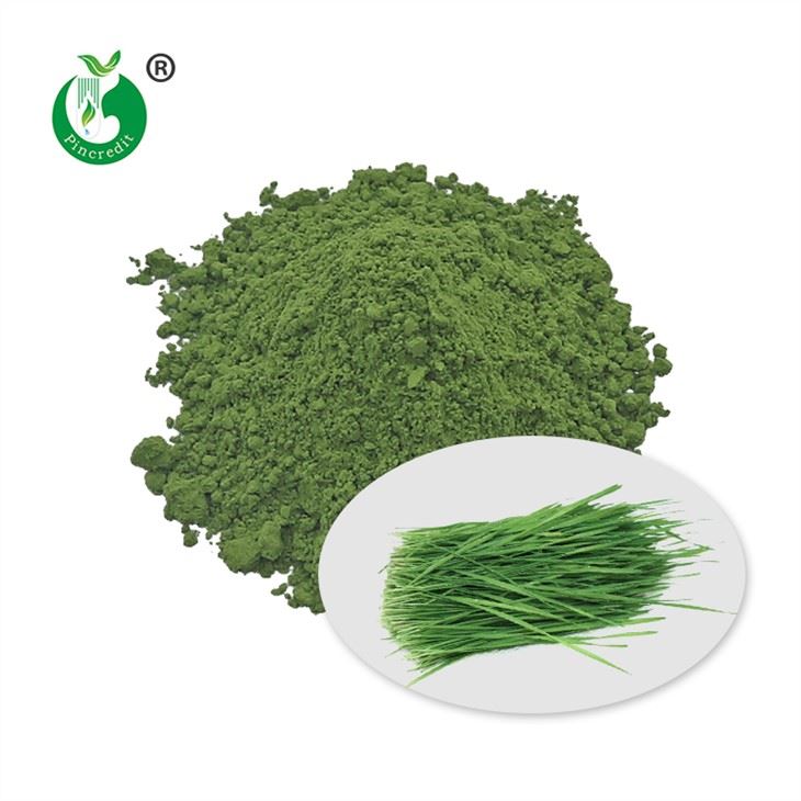 Wheat Grass Powder