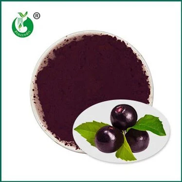 Saf Acai Faydalı mı?