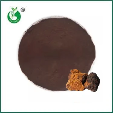 Chaga Ekstrakt Tozunun Faydaları ve Kullanım Alanları