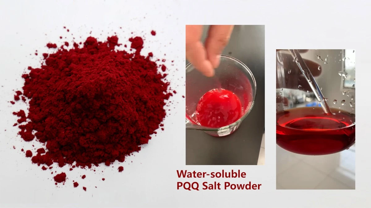 Water Soluble PQQ Salt Water Soluble PQQ Salt