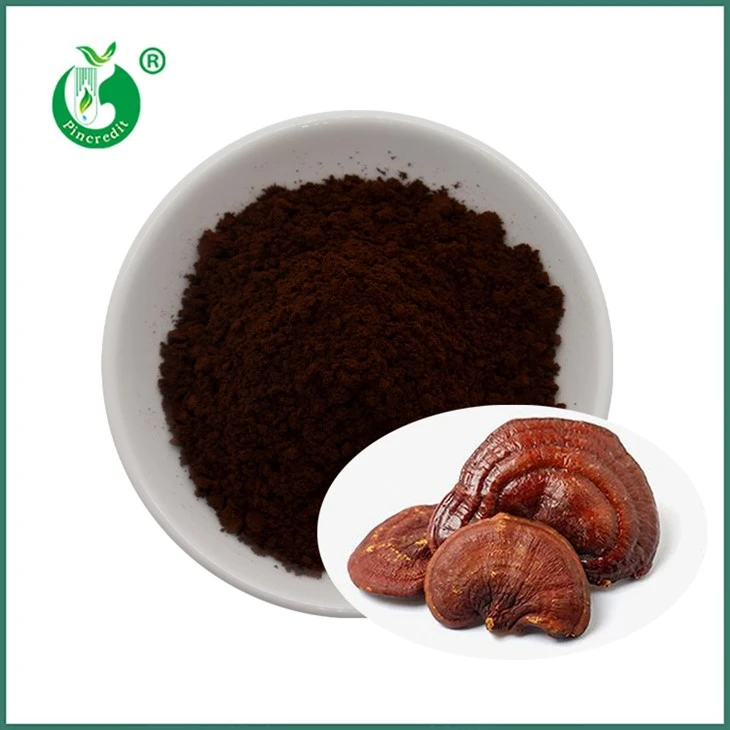 Reishi Spor Tozu