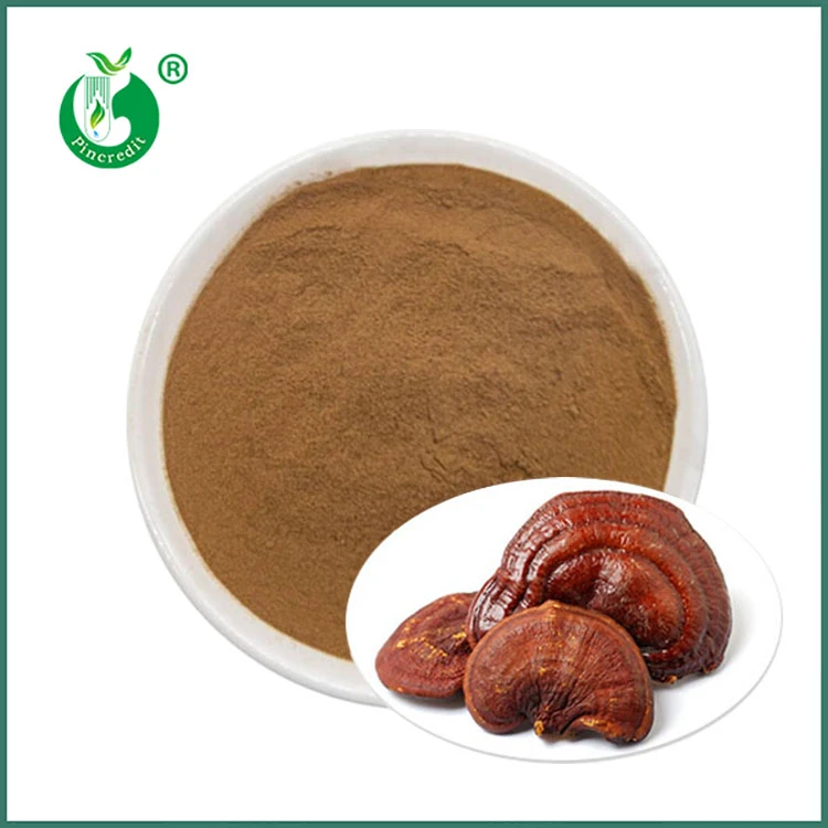 Reishi Özü Tozu