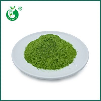 Matcha Yeşil Çay Tozu